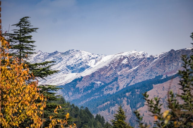 Palampur, Himachal Pradesh