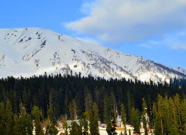 Snow Kashmir India