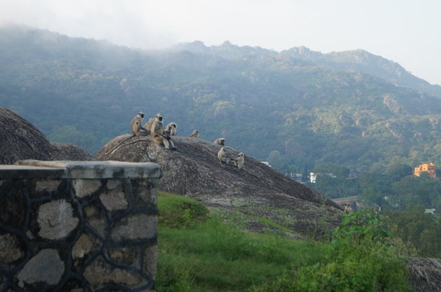 Achalgarh Fort, Top Sights in Mount Abu