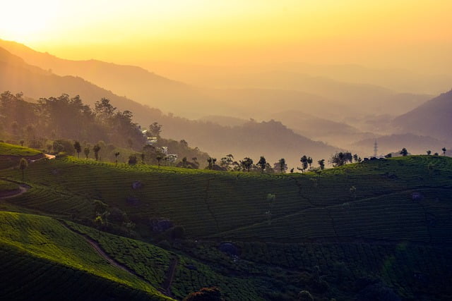 Kolukkumalai Sunrise point