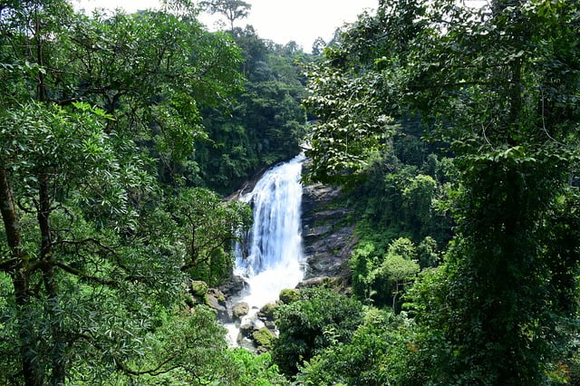 Nyayamakad Waterfalls, Munnar