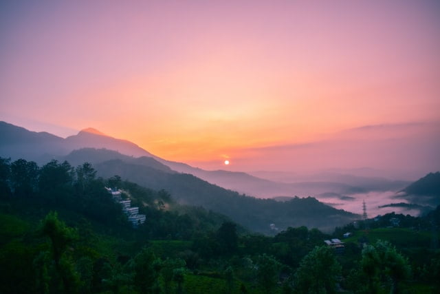 Munnar, Romantic Places to go for Valentine's Day 