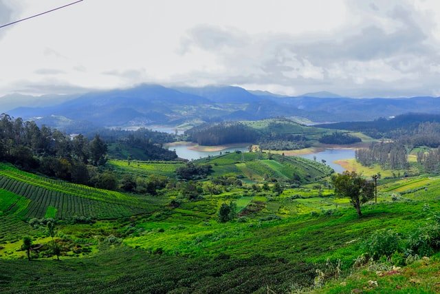 Ooty, Romantic Places to go for Valentine's Day 